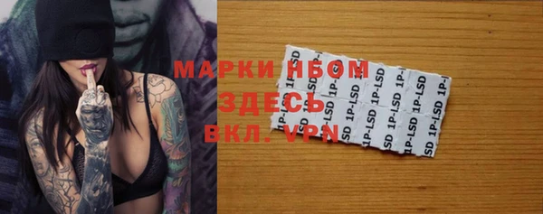 дмт Заводоуковск