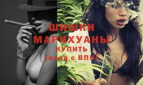 дмт Заводоуковск