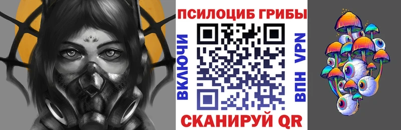 Купить закладки  Заинск  Галлюциногенные грибы мицелий 